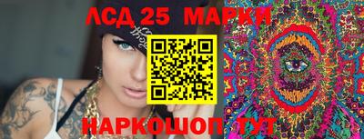 гидропоника Бийск