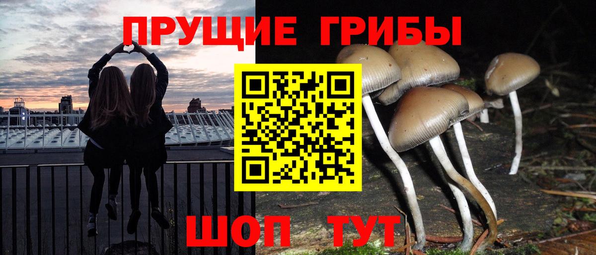 Псилоцибиновые грибы Magic Shrooms Батайск