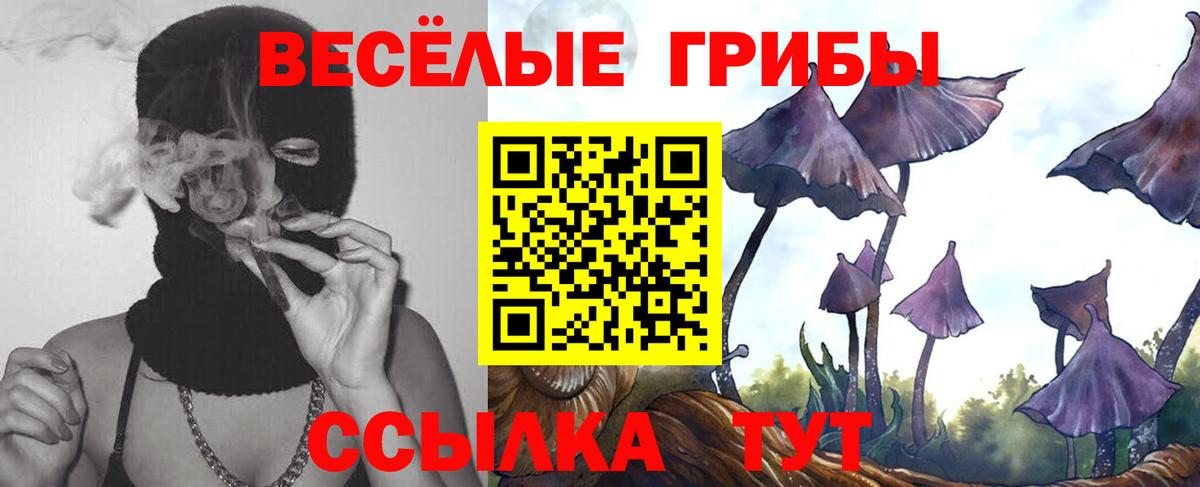 Псилоцибиновые грибы мицелий  Вход с VPN  как найти закладки  Батайск 